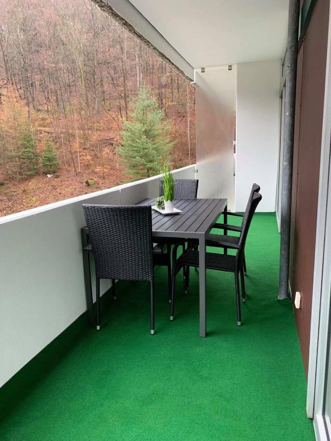Mariposa Inclusive Pool Und Sauna Bad Harzburg Extérieur photo